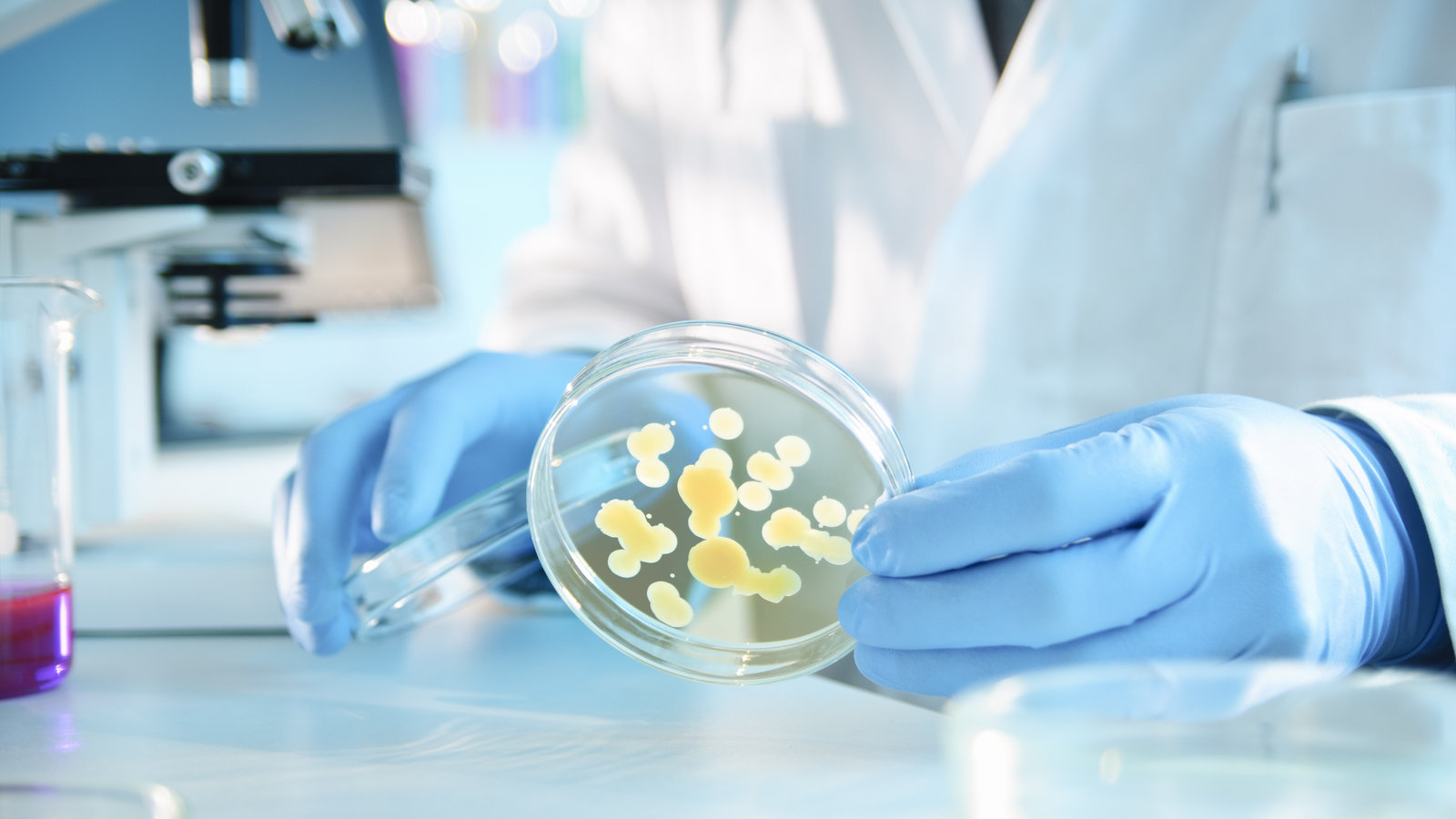 microbiologiste